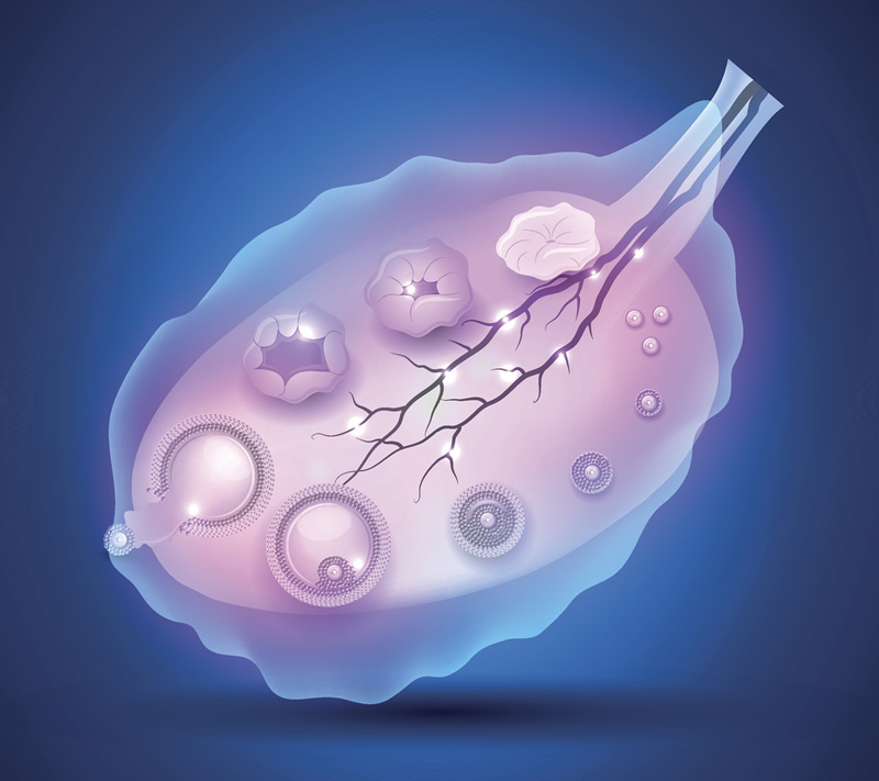 临沂市人民医院试管婴儿三代费用最低多少？5万元起是真的吗？